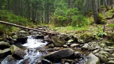 Bir dağ dere akar ahşap günlükleri taşlarla bir eğim aşağı bir görünümü