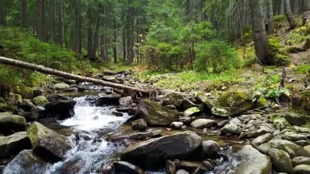 Vue d'un ruisseau de montagne qui descend une pente de pierres avec des bûches de bois 