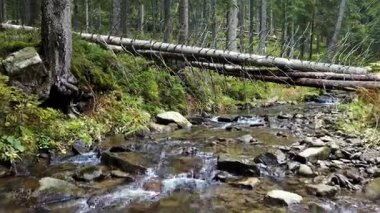 Bir dağ dere akar ahşap günlükleri taşlarla bir eğim aşağı bir görünümü