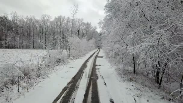 Снігова Покрита Зимова Дерев Яна Алея Дорогою — стокове відео