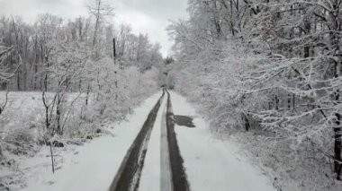 Bir yol ile kış karla kaplı ahşap sokak
