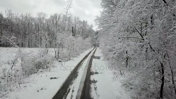 Callejón Madera Cubierto Nieve Con Camino — Vídeos de Stock