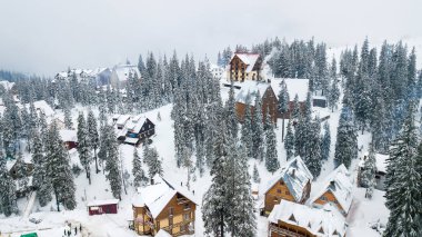 Noel ağaçları ile dağlarda kar kayak merkezi