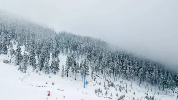 Vista aérea del árbol de Navidad cubierto de nieve en las montañas — Foto de Stock