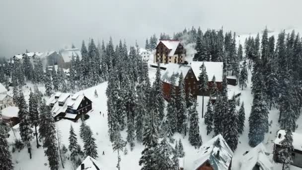 Aerial View Snow Covered Wooden Houses Forest Mountains — Stock Video