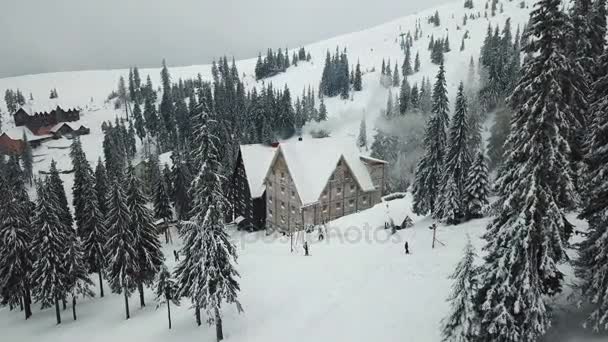 Vista Aérea Casas Madeira Cobertas Neve Floresta Montanhas — Vídeo de Stock