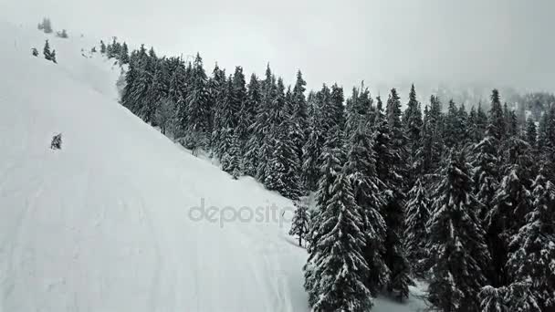 Yolun Karla Kaplı Creestmas Ağacıyla Havadan Görünümü — Stok video