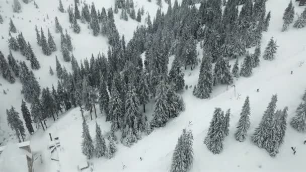 Vista Aérea Carretera Con Creestmas Cubiertas Nieve — Vídeo de stock