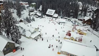 Noel ağaçları ile dağlarda kar kayak merkezi
