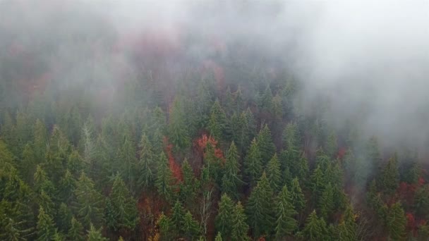 Flygfoto Över Bergen Med Morgondimma — Stockvideo