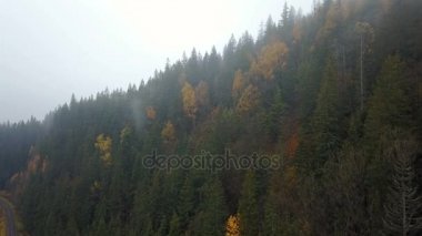 Bir sabah sis ile dağların havadan görünümü