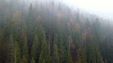 Bir sabah sis ile dağların havadan görünümü