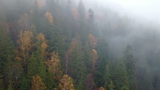 Luchtfoto Van Bergen Met Een Ochtend Mist — Stockvideo