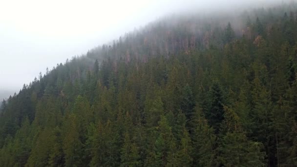 Vue Aérienne Des Montagnes Avec Brouillard Matinal — Video