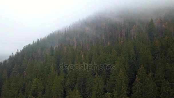 Aerial View Mountains Morning Fog — Stock Video