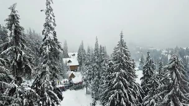 Snötäckta Ski Resort Bergen Med Julgranar — Stockvideo