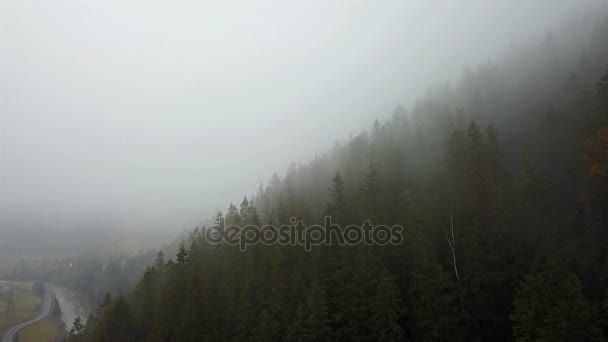 Veduta Aerea Delle Montagne Con Nebbia Mattutina — Video Stock
