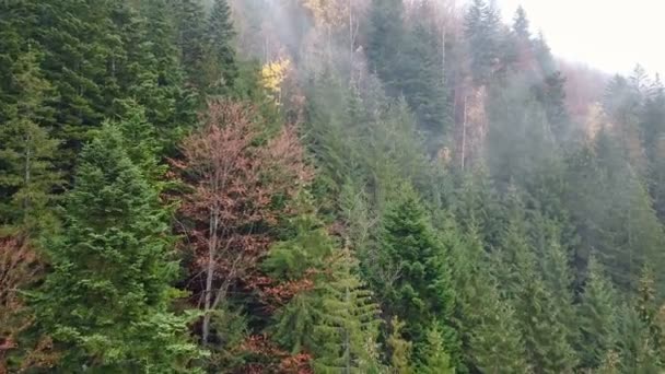 Vista Aérea Las Montañas Con Niebla Matutina — Vídeos de Stock