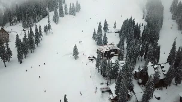 Snow Covered Ski Resort Mountains Christmas Trees — Stock Video