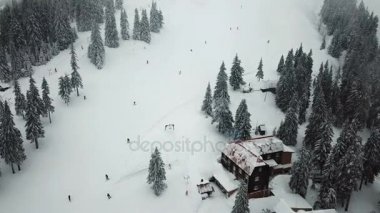 Noel ağaçları ile dağlarda kar kayak merkezi