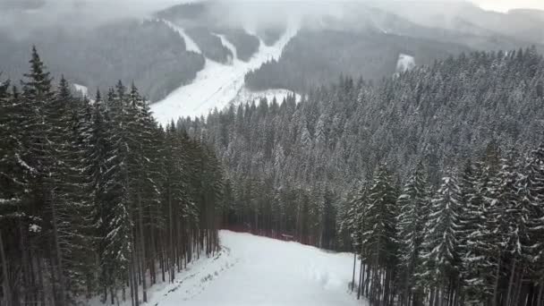 一个年轻人骑着滑雪板沿着高山斜坡 — 图库视频影像