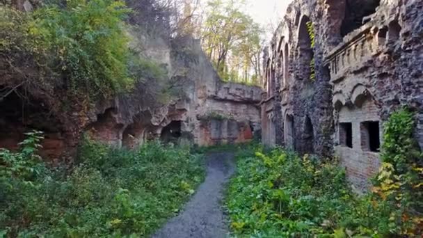 Vue Aérienne Mur Une Ancienne Forteresse Avec Fenêtres Portes — Video