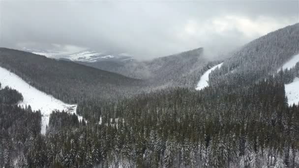 Vista Aérea Del Pino Cubierto Nieve — Vídeos de Stock