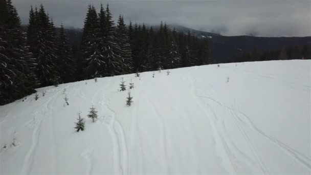 Letecký Pohled Freeride Původu Pro Lyžaře Snowboardisty — Stock video