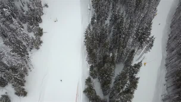 Vele Skiërs Snowboarders Afdalen Van Skipiste — Stockvideo