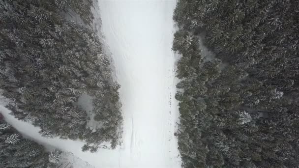 Inclinação Para Baixar Esquiadores Snowboarders Estância Esqui Vista Superior — Vídeo de Stock