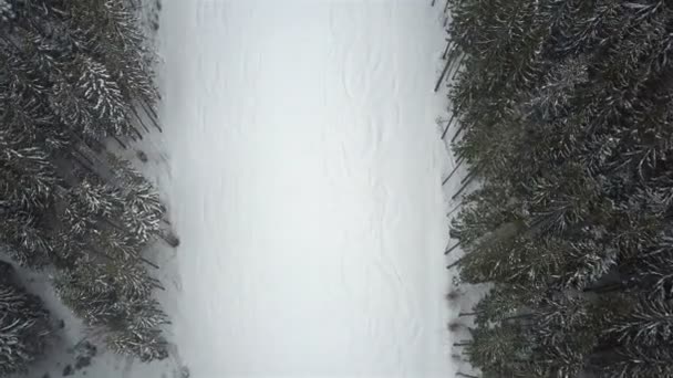 Piste Abbassare Sciatori Snowboarder Nella Stazione Sciistica Vista Dall Alto — Video Stock