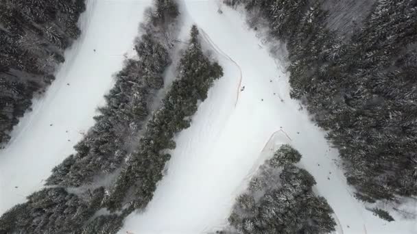 Nachylenie Obniżenie Narciarzy Snowboardzistów Ośrodku Narciarskim Widok Góry — Wideo stockowe