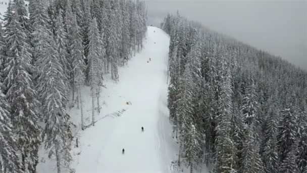许多滑雪者和滑雪下降滑雪斜坡 — 图库视频影像