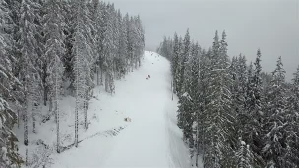 Viele Skifahrer Und Snowboarder Fahren Die Skipiste Hinunter — Stockvideo