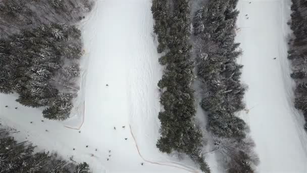 Abfahrtshang für Skifahrer und Snowboarder im Skigebiet, von oben