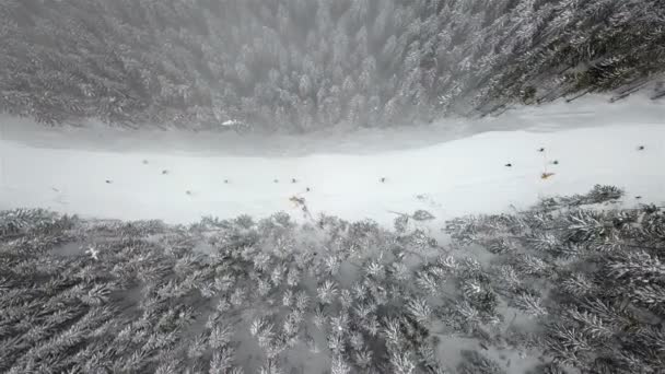 Abfahrtshang Für Skifahrer Und Snowboarder Skigebiet Von Oben — Stockvideo
