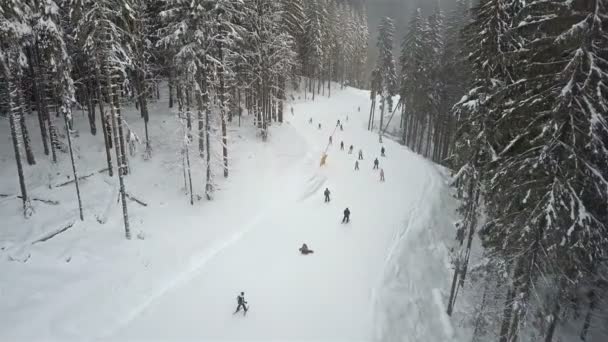 Viele Skifahrer Und Snowboarder Fahren Die Skipiste Hinunter — Stockvideo