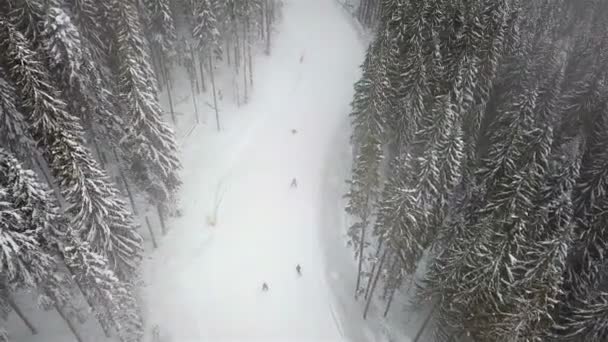 Vele Skiërs Snowboarders Afdalen Van Skipiste — Stockvideo