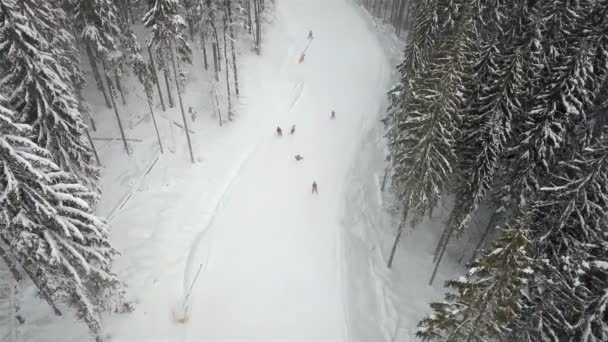 Pista Para Descenso Esquiadores Snowboarders Estación Esquí Vista Superior — Vídeo de stock