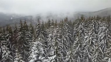 Karla kaplı Ladin hava görünümünü. Üstten Görünüm