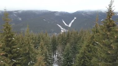 Önünde süslü püslü bir kış manzarası.