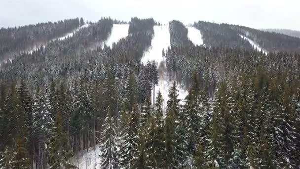 Floresta Abeto Montanha Com Clareiras Inverno Vista Superior — Vídeo de Stock