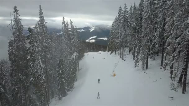 Les Skieurs Descendent Piste Dans Une Station Ski Bukovel Ukraine — Video