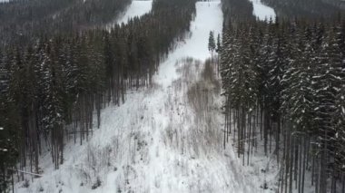 Açıklık alanlar kışın dağ çam ormanı. Üstten Görünüm