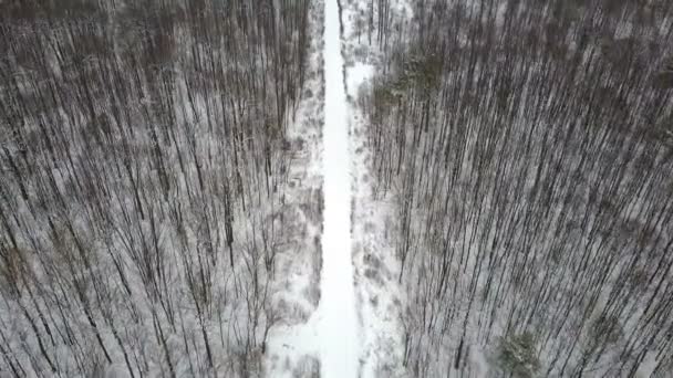 Luftaufnahme Der Schneebedeckten Straße Winterwald — Stockvideo