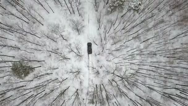 Luftaufnahme Eines Geländewagens 6X6 Der Schneebedeckten Wald Auf Winterlicher Straße — Stockvideo