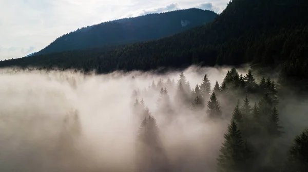 Vista aérea de las montañas Tatra en la niebla por la mañana — Foto de Stock