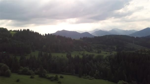 Aerial View Green Trees Slovak Tatras — Stock Video