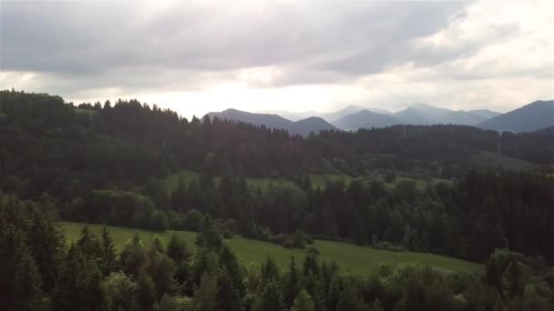 Aerial View Green Trees Slovak Tatras — Stock Video