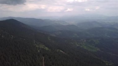 Slovak Tatralarında yeşil ağaçların havadan görünüşü